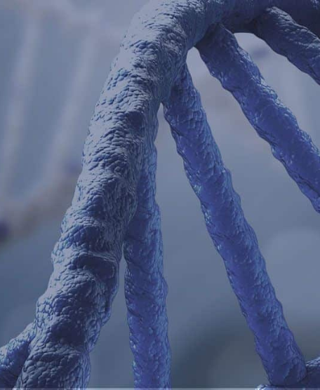Genotypisierung bei Kinderwunsch, Abstoßungsreaktion