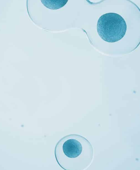 Was ist ein immunologischer Test?, ImMap®, Fruchtbarkeit Frau