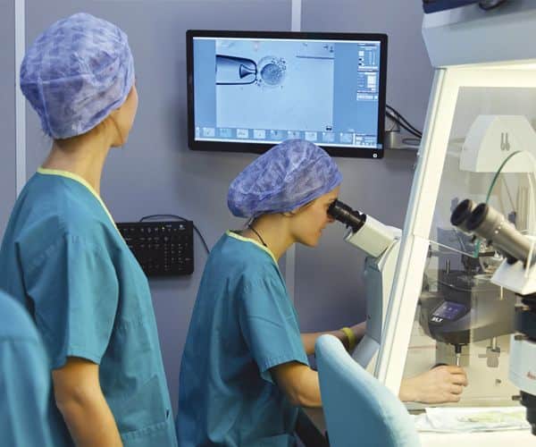 ivf-191129-115903