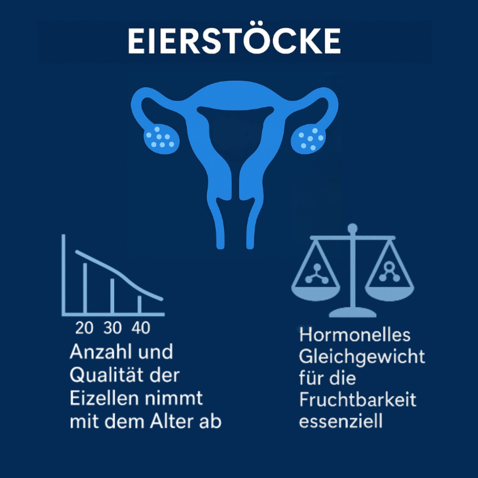 Frauen werden mit allen Eizellen (unreifen Eiern) geboren, die sie im Laufe ihres Lebens haben werden; es entstehen im Laufe der Zeit keine neuen. Deshalb nehmen mit zunehmendem Alter sowohl die Anzahl als auch die Qualität der Eizellen auf natürliche Weise ab, was die Chancen auf eine Schwangerschaft erschweren kann. Die Eierstöcke spielen eine zentrale Rolle bei der weiblichen Fruchtbarkeit: Sie sind nicht nur dafür verantwortlich, die Eizellen zur Befruchtung reifen zu lassen, sondern regulieren auch das hormonelle Gleichgewicht, das für einen gesunden Menstruationszyklus und dafür erforderlich ist, dass der Körper bereit ist, neues Leben zu empfangen.