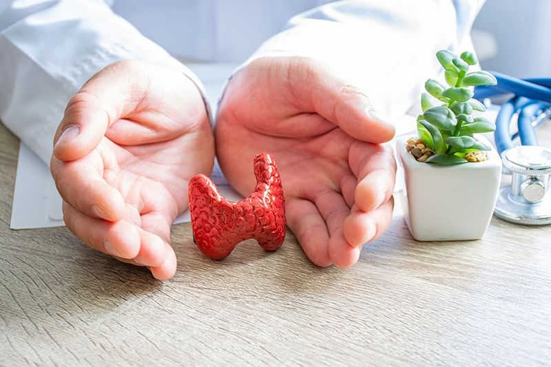 Schilddrüse und Kinderwunsch: Welche Rolle spielt das endokrine Organ für die Fruchtbarkeit?